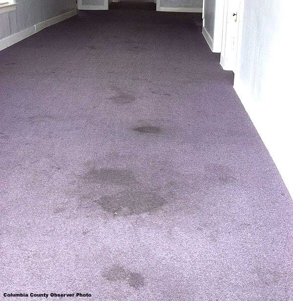 hallwaycarpet.jpg