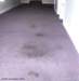 hallwaycarpet_small.jpg
