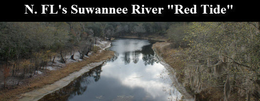 Suwannee-River-graphic