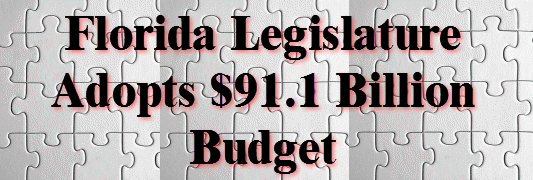 Florida adopts 9.1 billion dollar budget