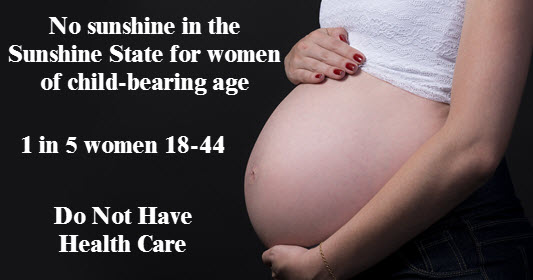 photo of pregnant woman. copy reads no sunshine in the Sunshine State for women of child bearing age. 1 in 5 women 18-44 do not have health care