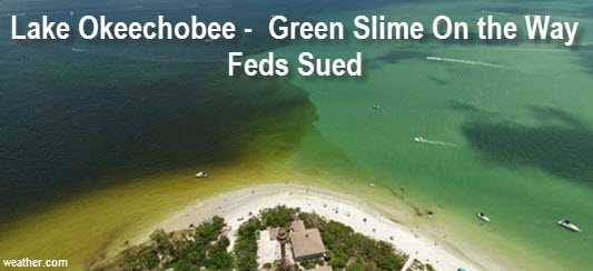 Photo: Lake Okeechobee. Copy: Lake Okeechobee - green slime on the way, feds sued
