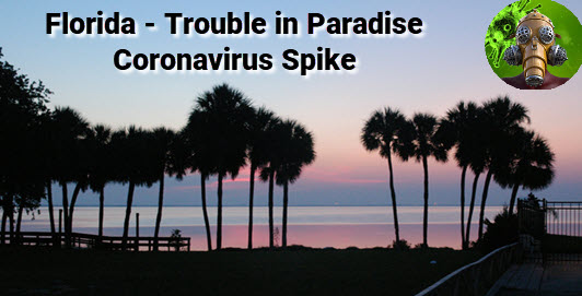Florida Sunset wth copy: Florida - trouble in paradise, coronavirus spike