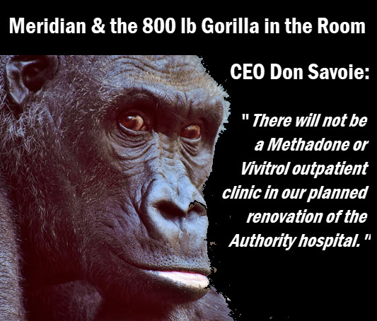 Gorilla with headline: Meridian & the 800 lb. gorilla in the room