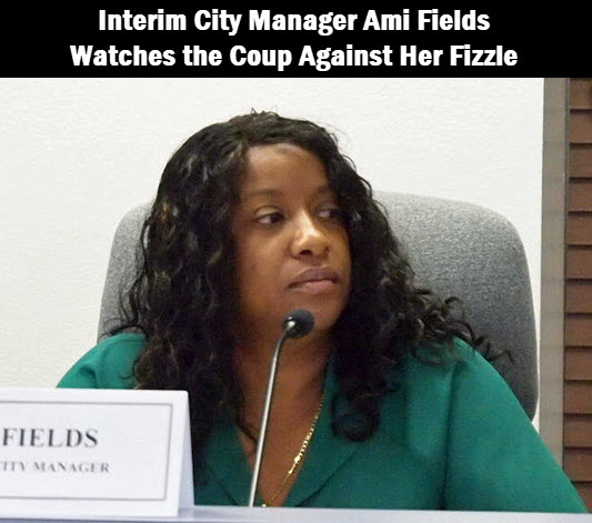photo of Lake City Interim City Manager Ami Fields with caption: Interim City Manager Ami Fields watches the coup against her fizzle.