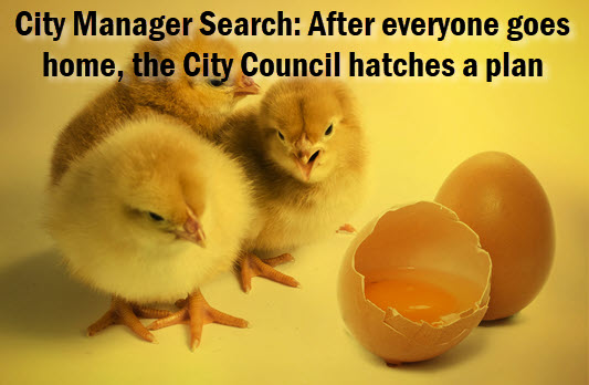 Chicks and eggs with caption: City Manager Search: After everyone goes home, the City Council hatches a plan