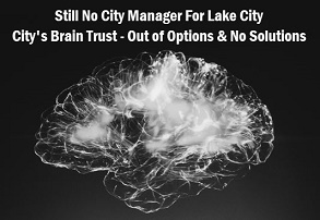 Photo of human brain with caption: still no city manager for Lake City. City's brain trust - out of options and no solutions