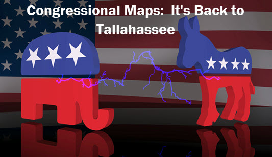 image of donkey and elephant with caption: congressional maps, it's back to Tallahassee