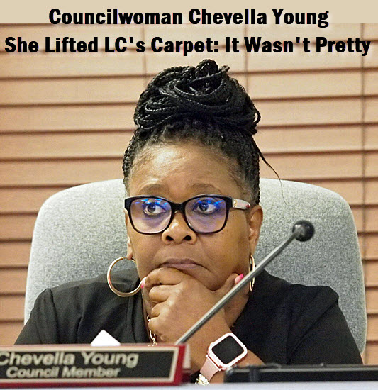 Councilwoman Chevella Young with headline: Florida's premiere dysfunctional government had the rug pulled back by Councilwoman Chevella Young -- It was not a pretty sight