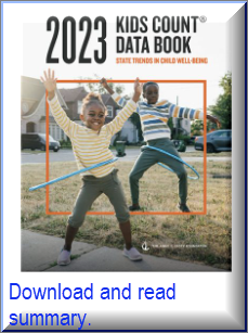 Link to Kids Count Data Book