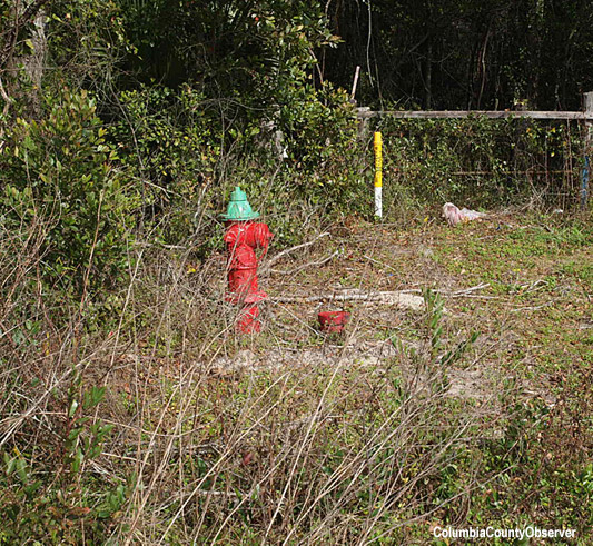 City utilities on Mr. Butler's property.